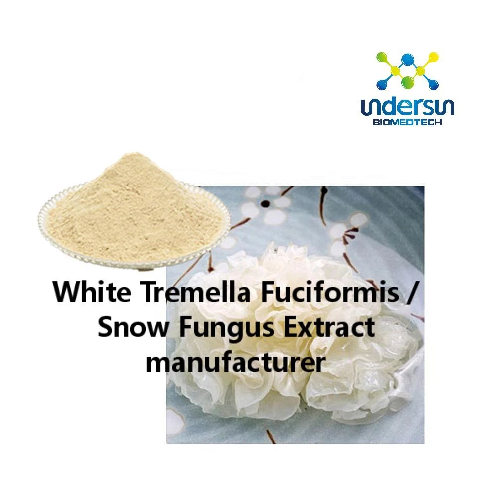 White Tremella Fuciformis / Snow Fungus Extract manufacturer White Tremella Fuciformis / Snow Fungus Extract manufacturer