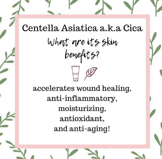 centella asiatica extract skin benefits-1