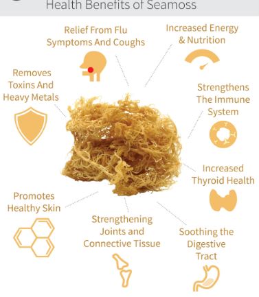 Irish Sea Moss Powder Benefits