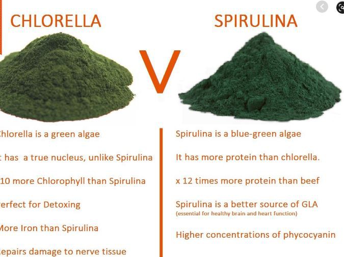 Chlorella vs. Spirulina