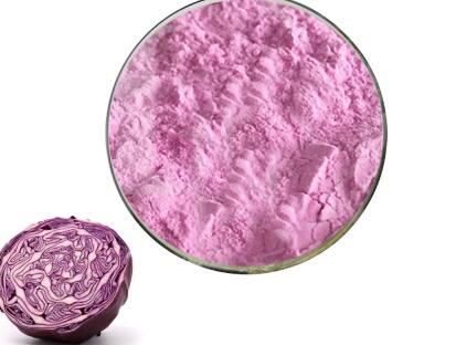 anthocyanin red cabbage anthocyanin red cabbage