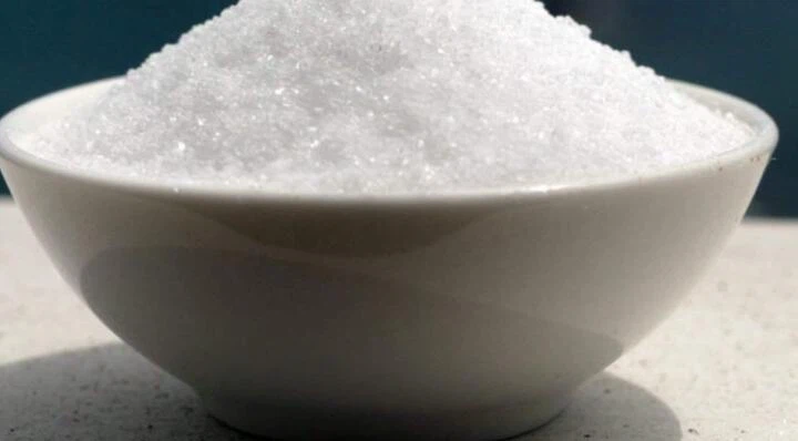 Is Allulose Safe for cats