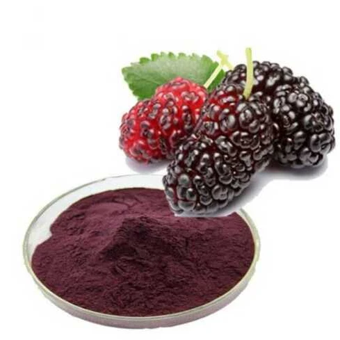 mulberry powder mulberry powder