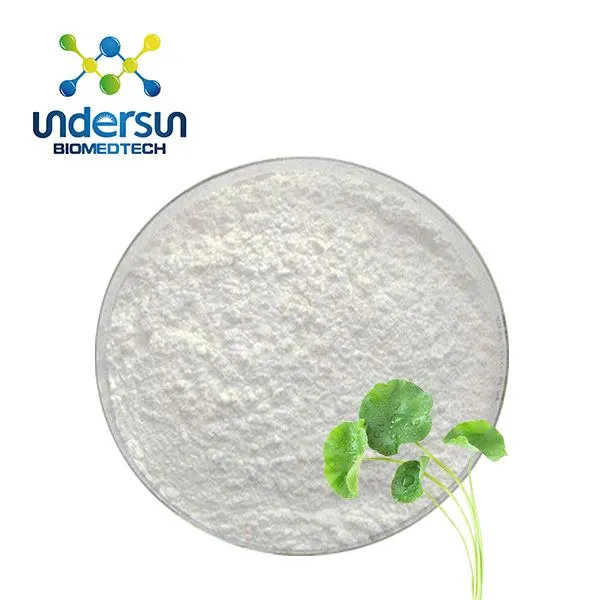 아시아 시로 사이드