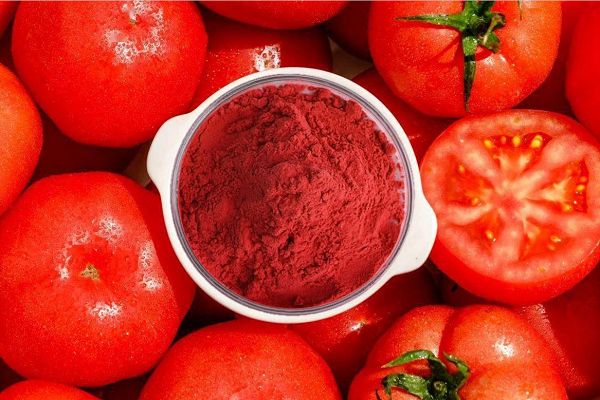 lycopene powder lycopene powder