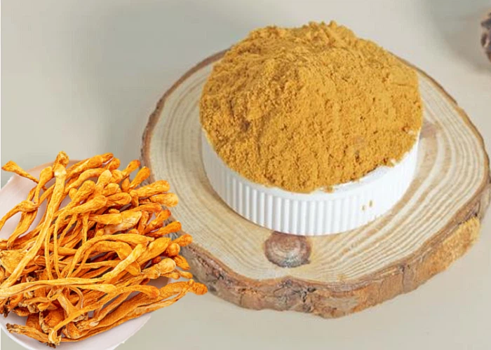 Cordyceps Militaris Extract Cordyceps Militaris Extract