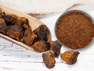 차가버섯 추출물에 대한 ID 테스트: 진품성과 품질