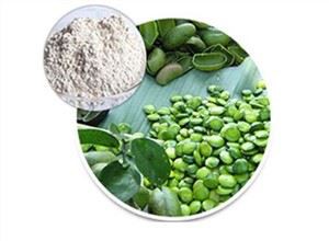 그리포니아 심플리시폴리아 씨 추출물