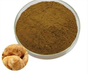 사자갈기 버섯 가루