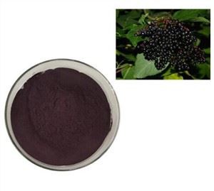 삼부커스 엘더베리 추출물