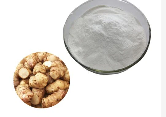 치커리 루트 추출물