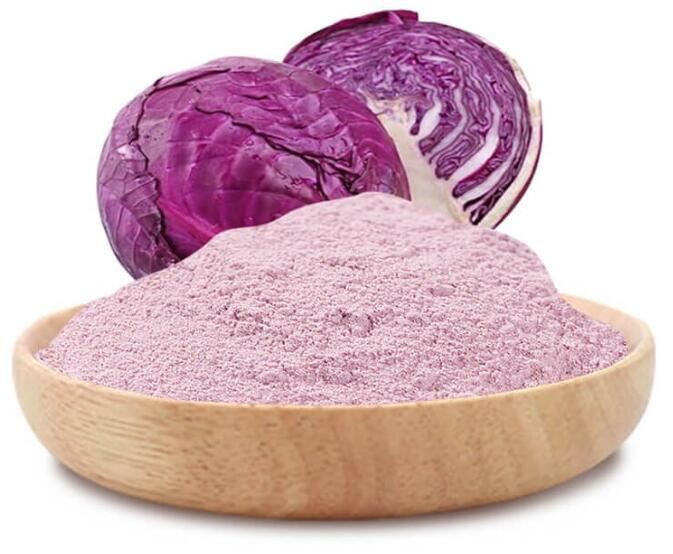 동결 건조 보라색 양배추 분말