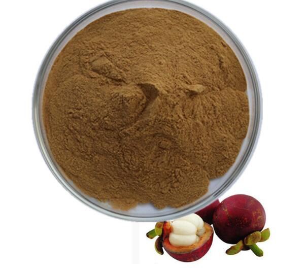 망고스틴 추출물 분말