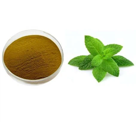 순수 페퍼민트 추출물