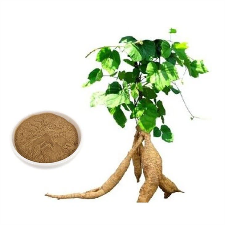 순수한 Pueraria Mirifica 분말
