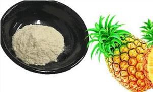 브로멜라인 분말 벌크