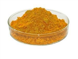 벌크 CoQ10 파우더