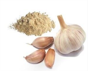 벌크 마늘 가루