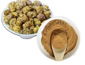 Dendrobium 추출물