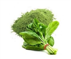 말린 시금치 파우더