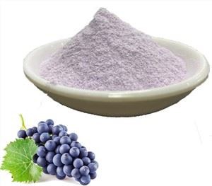 동결건조 포도분말