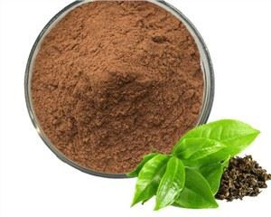 녹차 추출물 폴리 페놀