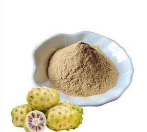 노니 과일 파우더