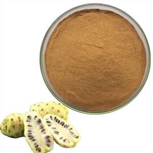 노니 주스 파우더