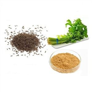 유기농 셀러리 씨 파우더