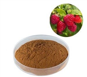 라즈베리 케톤 추출물