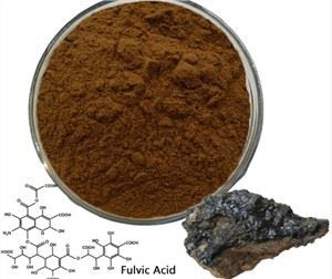 Shilajit 분말