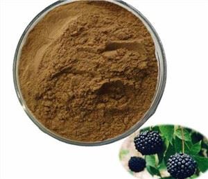 시베리아 인삼 분말