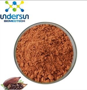 테오브로민 파우더