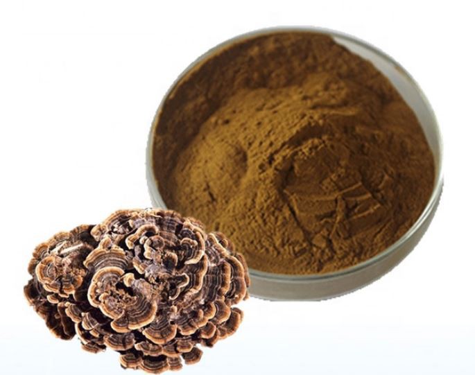 칠면조 꼬리 버섯 가루