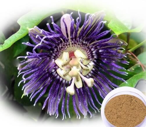 패션플라워 파우더