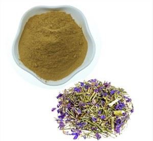 Lithospermum Erythrorhizon 추출물