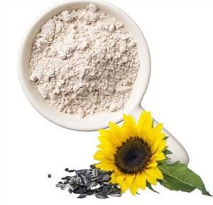 해바라기 단백질 분말