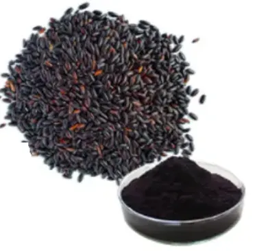 흑미 안토시아닌